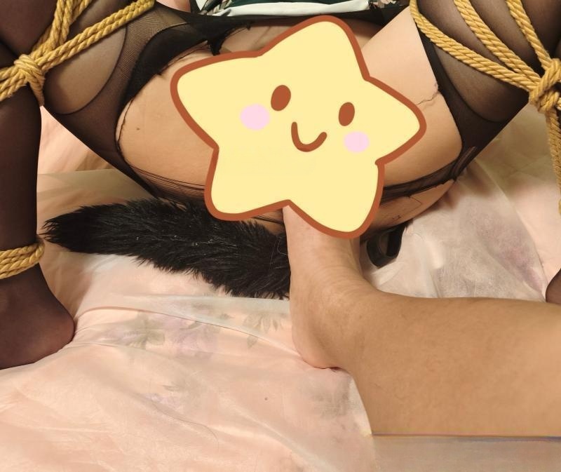 小母狗求主人调教