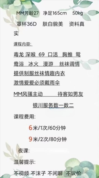 八字豪乳丹丹