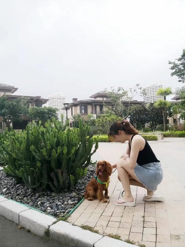 值得一试的少妇