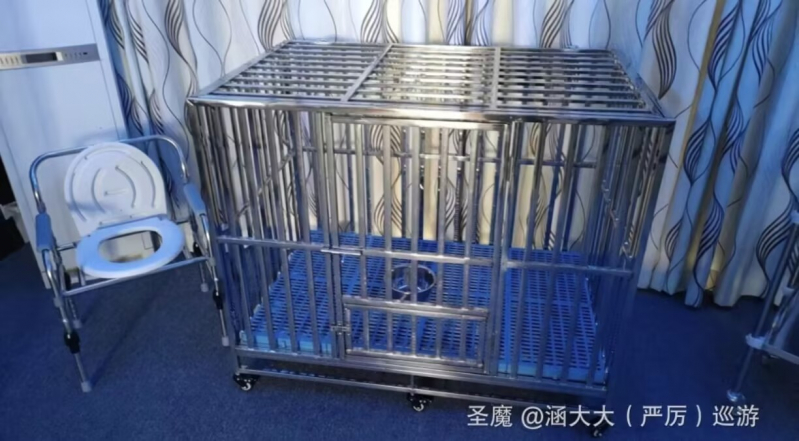 涵大大S